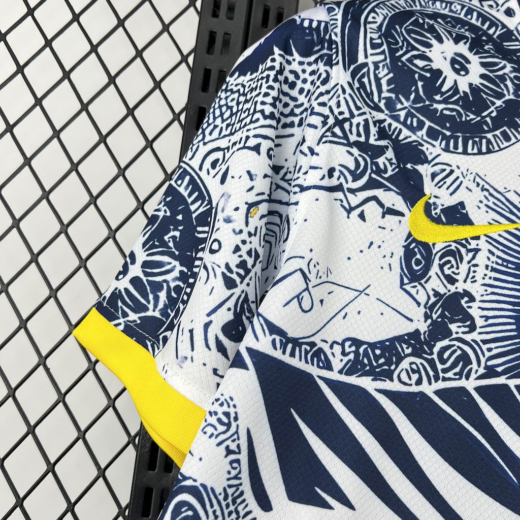 Maillot bleu et blanc du Brésil 25/26