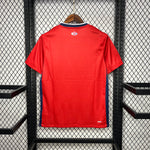 Lille OSC 24/25 maillots a domicile