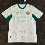 Maillot du sénégal 2026 domicile