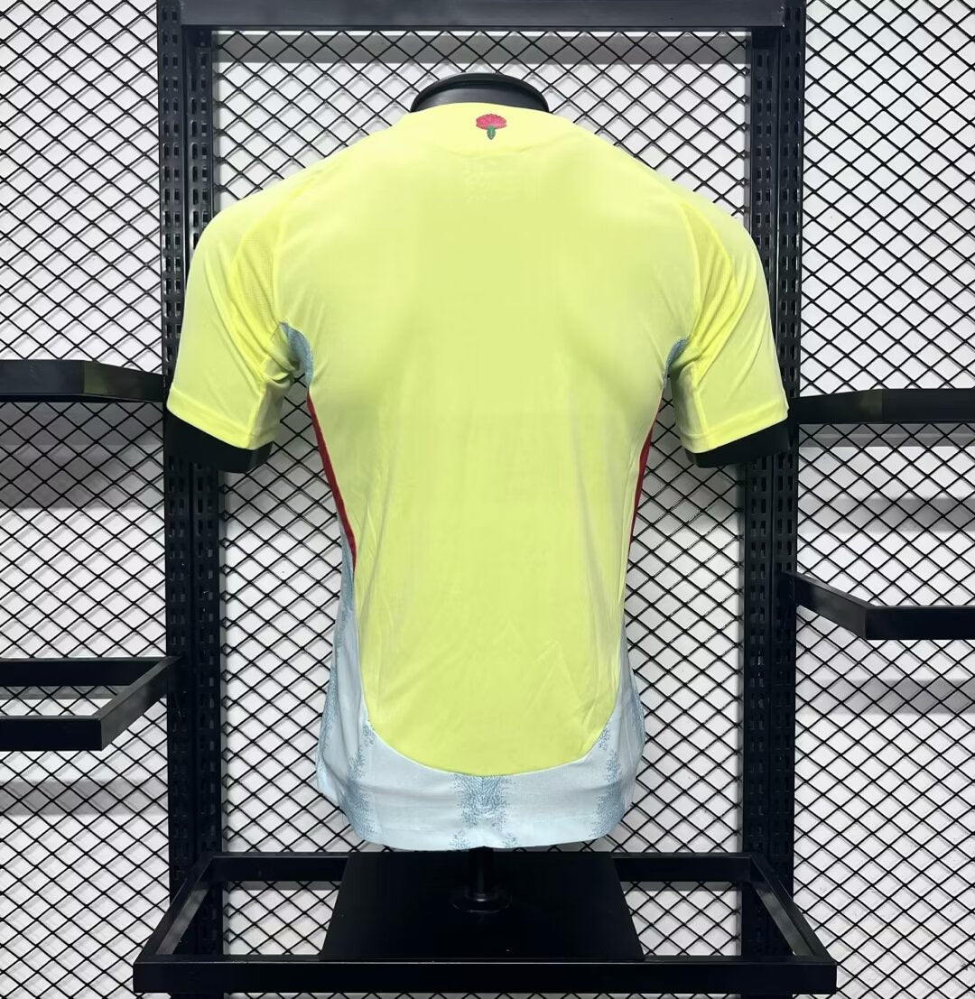 Espagne 24/25 maillot extérieur Player Version