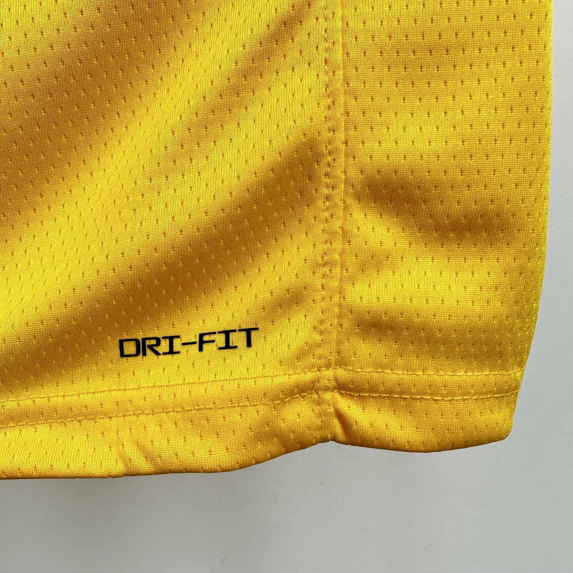 Los Angeles Lakers 23/24 Icon Edition