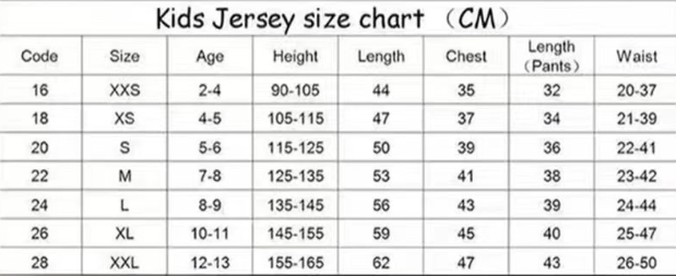 maillot extérieur enfant Lille OSC saison 24/25