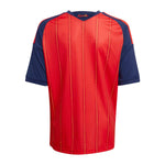 Maillot domicile Espagne 26/27